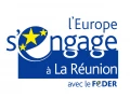 drapeau feder